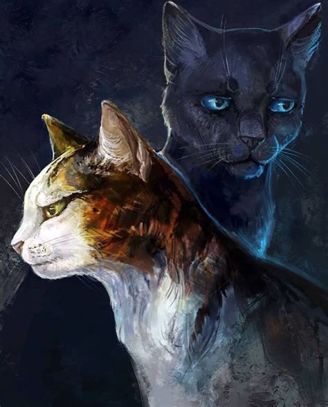 pin  thyla  warriors warrior cats fan art warrior cat warrior cats
