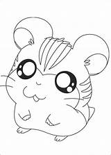 Hamtaro Aktivitaten Websincloud Dibujos sketch template