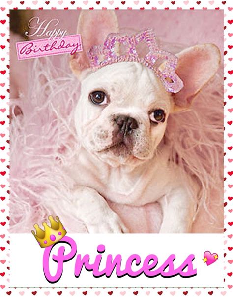 happy birthday french bulldog puppy princess happy birthday