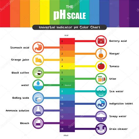 escala de ph indicador universal ph grafico de cores diagrama imagem