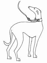 Whippet Clipart Silhouette Outline Shamelessly Perfect Thewhippet sketch template