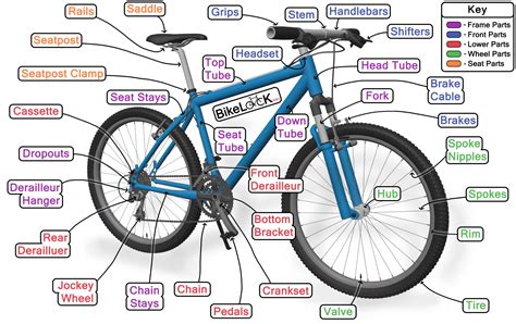 parts   bike diagram  bicycle anatomy guide