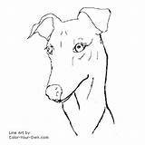 Greyhound Coloring Face Pages Dog Own Color Drawings Line Children Template sketch template