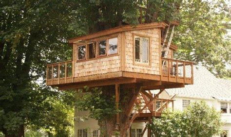 build simple treehouse  tree wooden global jhmrad