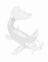 Koi Coloring Adult Japanese Vector sketch template