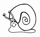 Caracol Colorear Lumaca Cargol Escargot Slak Snail Schnecke Desenho Kleurplaat Malvorlage Snegle Bilde Dibuixos Dibuix Cargols Stampare Animali Acolore Religiosa sketch template