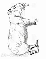 Capybara Downloadable Rainforest sketch template
