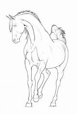 Horse Coloring Pages Arabian Lineart Stallion Clipart Color Getcolorings Printable Library Deviantart Popular sketch template