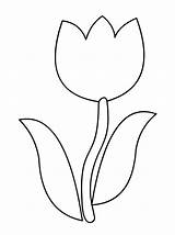 Tulipe Tulipan Tulipes Maternelle Dessiner Trouvé sketch template