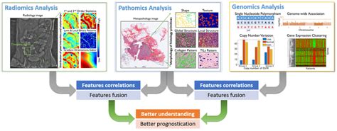 overview   fusion  pathomics radiomics  genomics