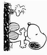 Snoopy Brown Woodstock Animati Cartoni Kolorowanki Dzieci Fistaszki Dla Peanuts Colorare Immagini Kids sketch template