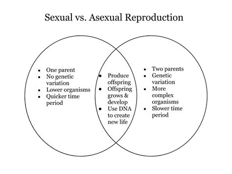 sexual vs asexual reproduction carli s wonderful website