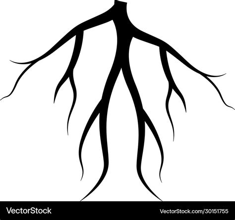 root system stencil