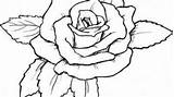 Heart Thorns Drawing Roses Getdrawings sketch template