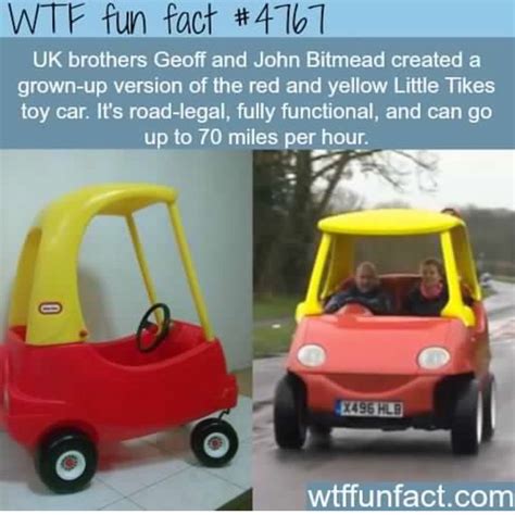 1000 images about random things you should know on pinterest cool facts mind blown and thoughts
