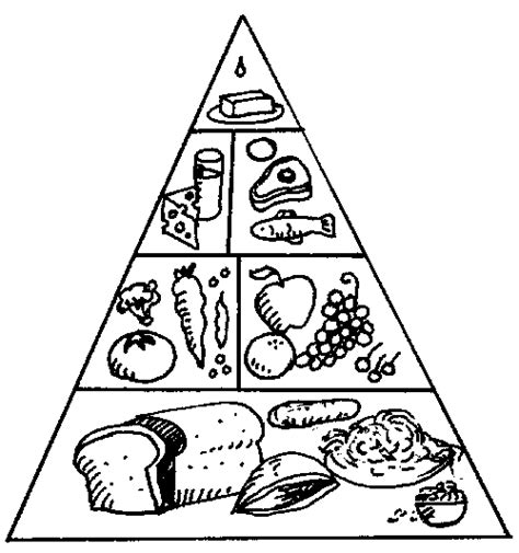 food group coloring pages color  pages coloring pages  kids