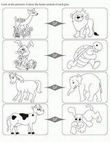 Coloring Pages Opposites Color Faster Animal Clipart Cartoon Kids English Printable Activity Educational Pair Each Look Popular Print Coloringhome Conflict sketch template