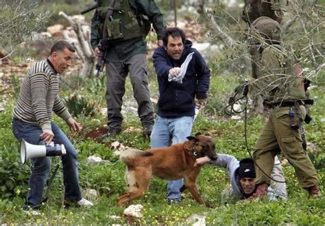human rights in zionist israel