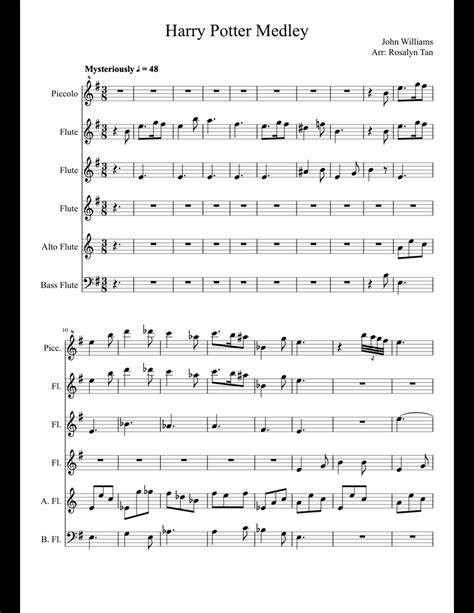 Harry Potter Medley For Flute Choir Sheet Music For Flute