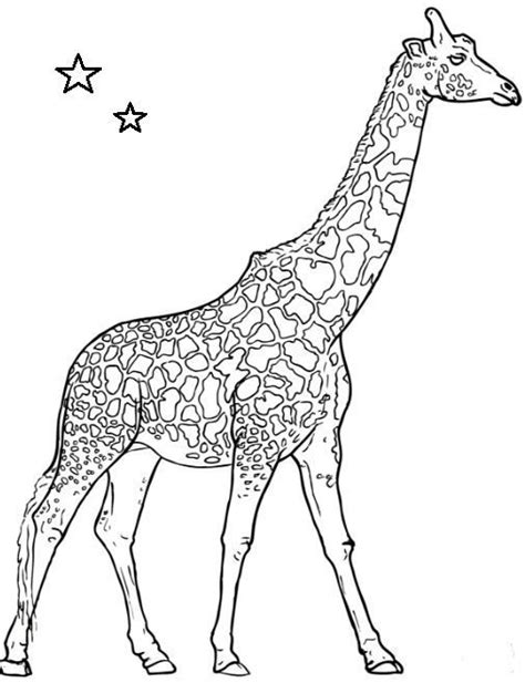 giraffe coloring page giraffe coloring pages giraffe coloring page