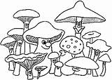 Kleurplaten Mewarnai Jamur Pilze Paddestoelen Champignons Gambar Kleurplaat Malvorlagen Funghi Colorare Cogumelos Coloring Ausmalbild Pilz Mushrooms Malvorlage Coloriages Animasi Champignon sketch template