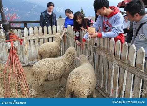 view  cingjing farm  taiwan editorial image image  countryside