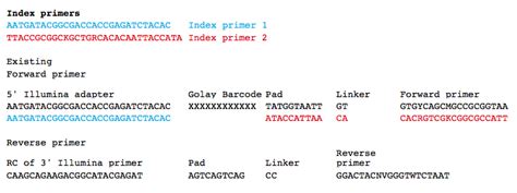 index sequencing primer for use with custom primers 16s metagenomic
