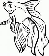 Coloring Fish Printable Pages Print sketch template