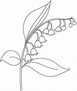 Bellflower Flower Drawing Coloring Beautiful Pages Kids Outline Flowers Easy Realistic Bestcoloringpages Embroidery Drawings Visit Choose Board sketch template