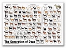 犬 系統図 に対する画像結果.サイズ: 137 x 100。ソース: ameblo.jp