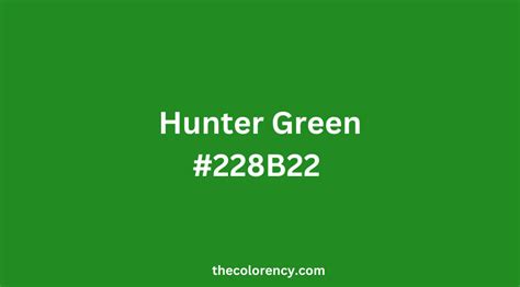 hunter green  forest green  color ency