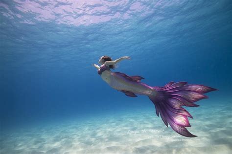lyrique the mermaidphoto see through sea tail finfolk productions zeemeerminnen zeemeermin