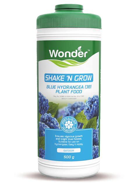 shake  grow blue hydrangea