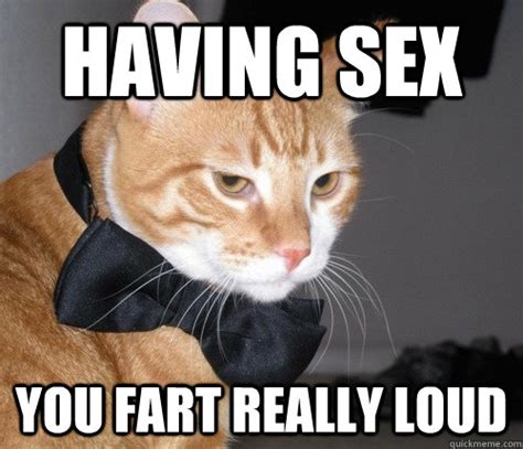 having sex you fart really loud awkward moment cat quickmeme
