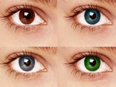 genes determine eye color siowfa science   world