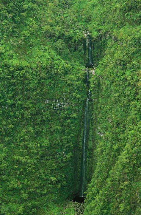 rainforest waterfalls  greg vaughn printscapes