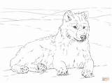 Lobo Wolf Arctic sketch template