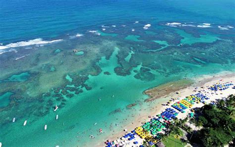 Praias De Pernambuco Top 10 Melhores Praias De Pernambuco