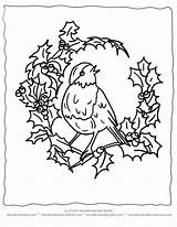 Coloring Christmas Pages Winter Bird Printable Vintage Birds Ausmalbilder Colouring Animals Color Carol Coloringhome Popular Tree Scenery Visit Print Xmas sketch template