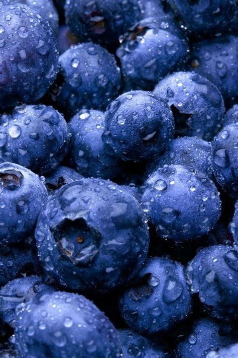 blueberries fondos de frutas frutas y vegetales frutas