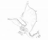 Hunter Monster Coloring Pages Rathalos Fly Frontier Template sketch template