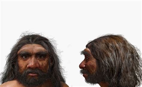 dragon man scientists   human species   closest ancestor