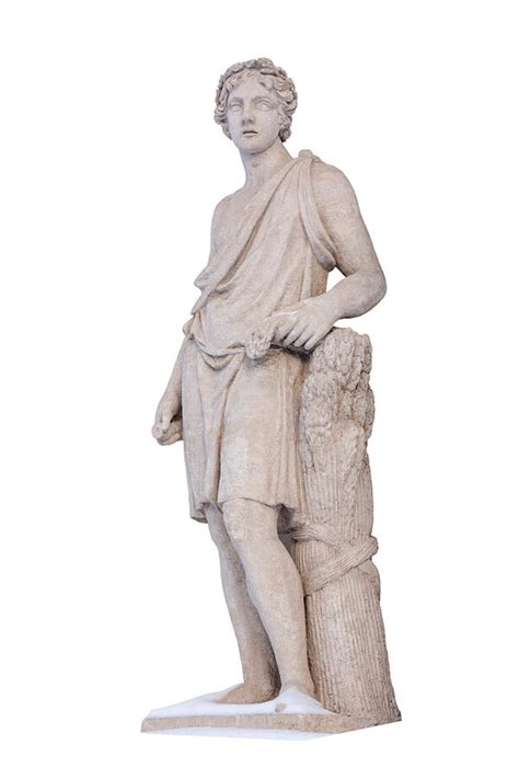 story  adonis greek mythologys handsome mortal symbol sage
