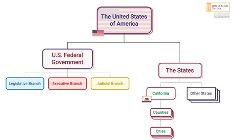 branches  government flow chart
