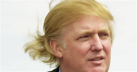 donald trumps hair evolution    scary   politics huffpost