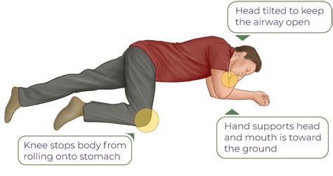 recovery position step  step guide