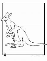 Coloring Kangaroo Baby Pages Kangaroos Color Library Print Popular Codes Insertion Coloringhome Jr sketch template