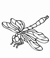 Dragonfly Libellule Dragonflies Coloringtop Insect Colouring Coloriages sketch template