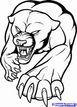 Panther Outline Drawing Clip sketch template