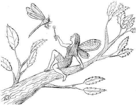 robins great coloring pages dragonfly fairy   insect friendly